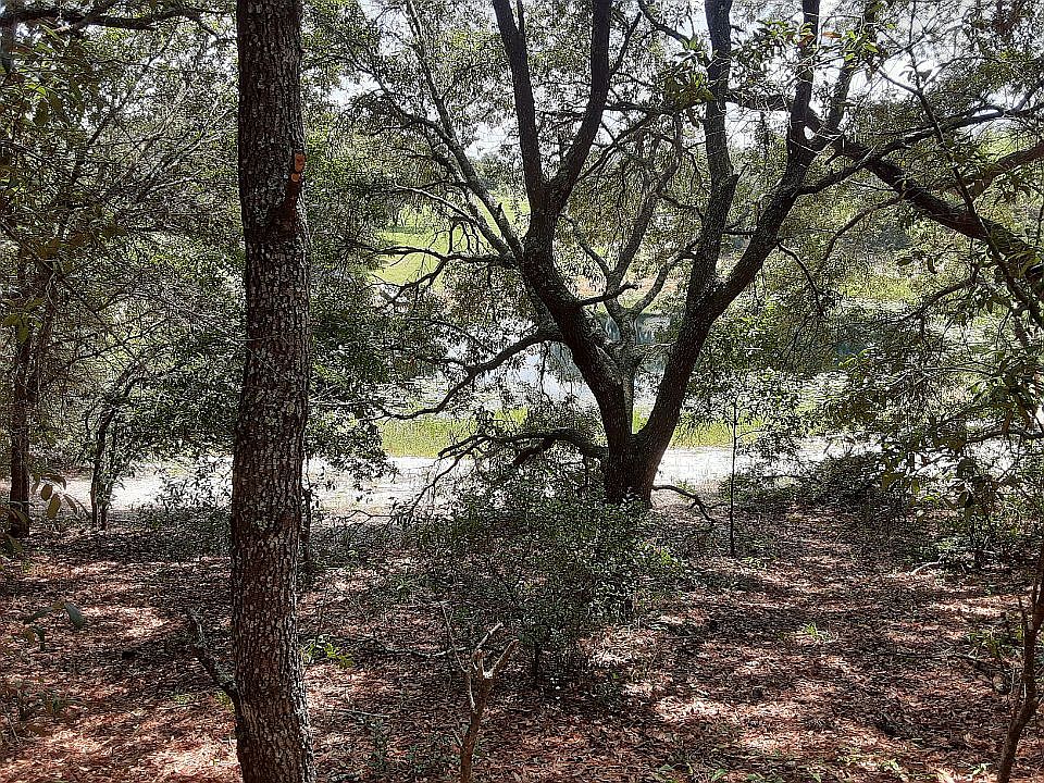 View from lot to water line.