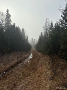 120 Acres Off, Champion, MI, 49814