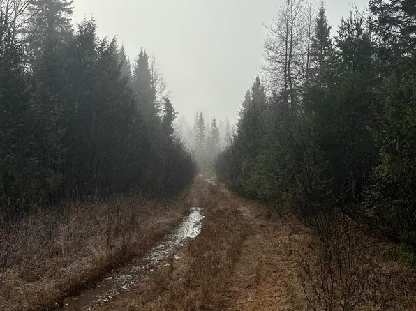 120 Acres Off, Champion, MI 49814