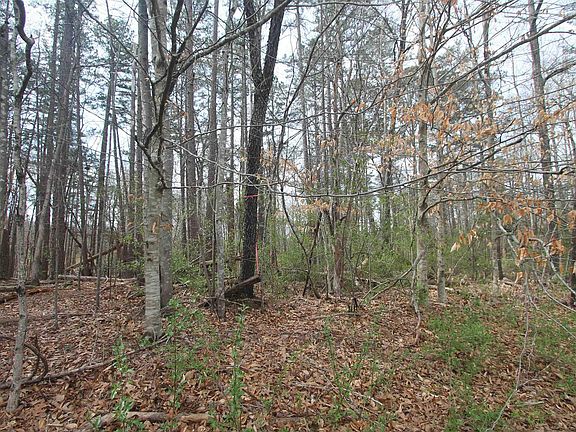 3rd image of Sulphur Mine Rd