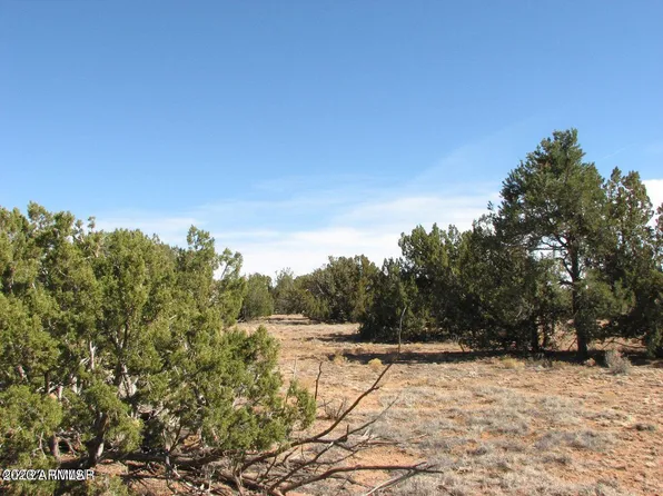 Sec 12 T14N, R16E:Nw4 Sw4 -- #022, Heber, AZ 85928