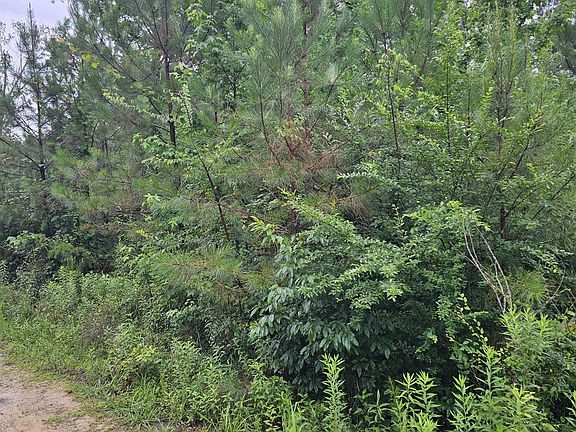 2nd image of County Road 89