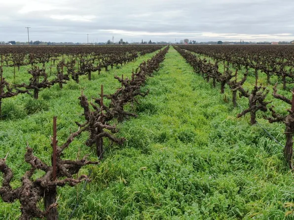 21610 N Devries Rd, Lodi, CA 95242