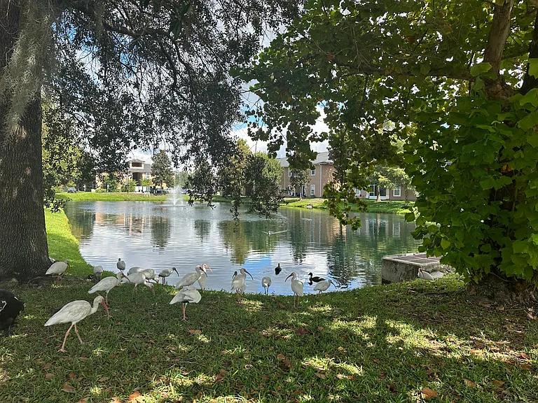 9595 Amarante Cir #16 — Photo 5