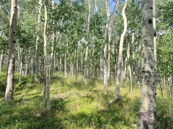 Lot 5837 Sheldon Road, Fort Garland, CO 81133