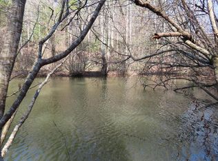 0 Blazing Star Rd, Ellijay, GA 30540