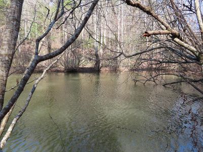 0 Blazing Star Rd, Ellijay, GA, 30540