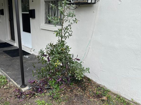 jacksonville-florida-154601997 picture