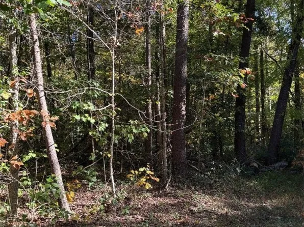 0 Stokes Station Rd, Goochland, VA 23063