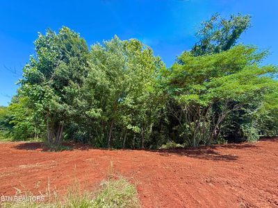 305 Oakwood Estates Dr, Lenoir City, TN, 37772