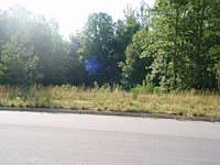 1st image of 50 Mountain Crest Dr