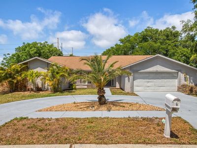 209 Normandy Cir W, Palm Harbor, FL, 34683