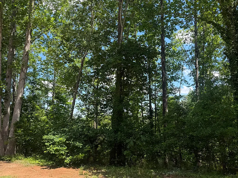 3637 Walhalla Hwy — Photo 21