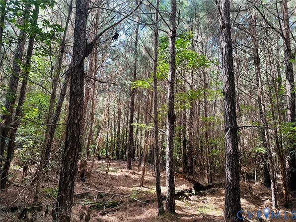 0 Turnpike Rd Parcel B, Bohannon, VA 23021