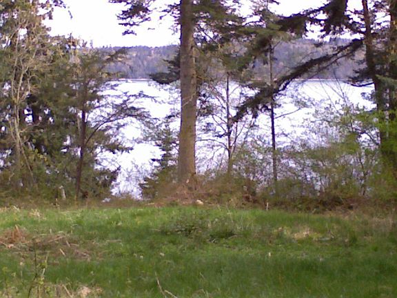 Level lot w/ septic design approved