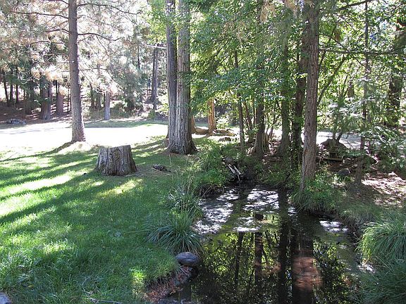 Natural Pool circular drive