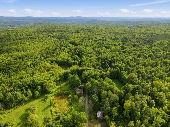 Dragoo Rd Lot 8, Schenevus, NY 12155