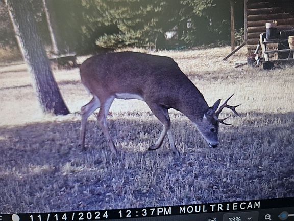2nd image of 10332 Highway 26 Lot Wp002