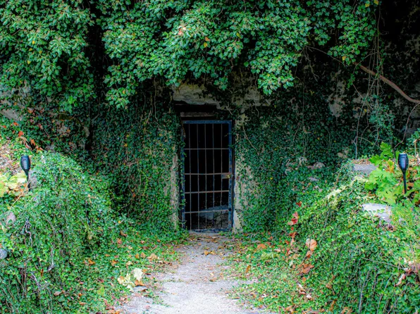 1770 Mc #5026, Valley Springs, AR 72682