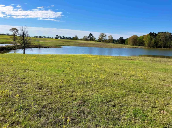 LOT 49 White Oak Creek Rnch, Big Sandy, TX 75755