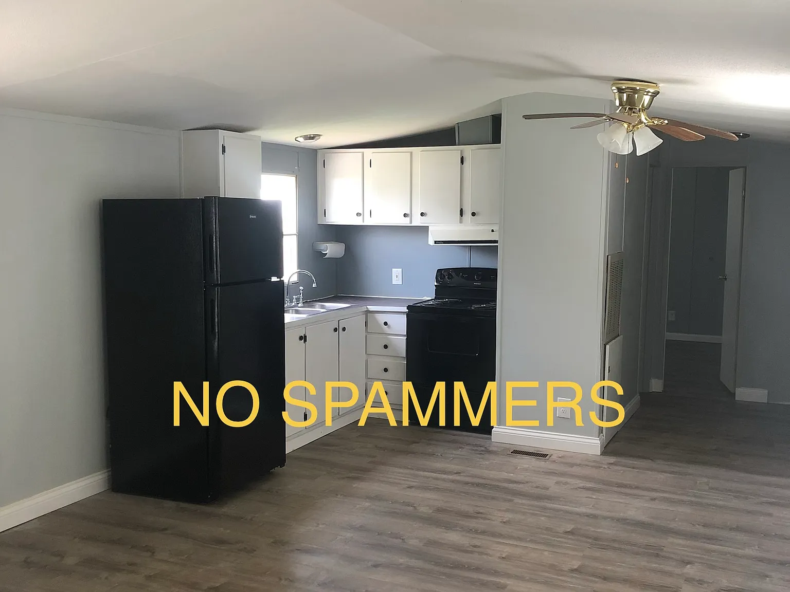 3 bed, 950 sqft, $1,100 — Photo 2