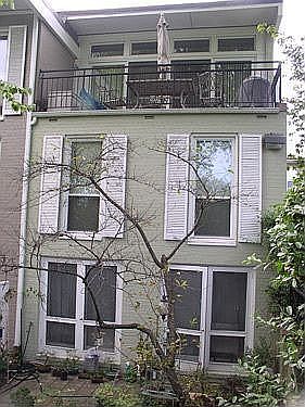 Back View