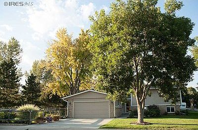Mature trees
