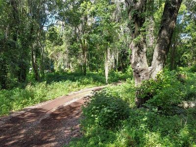 860 E Lisa Ln #8, Apopka, FL, 32703
