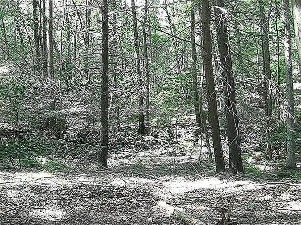 84 Tumble Falls Rd, Stockton, NJ 08559