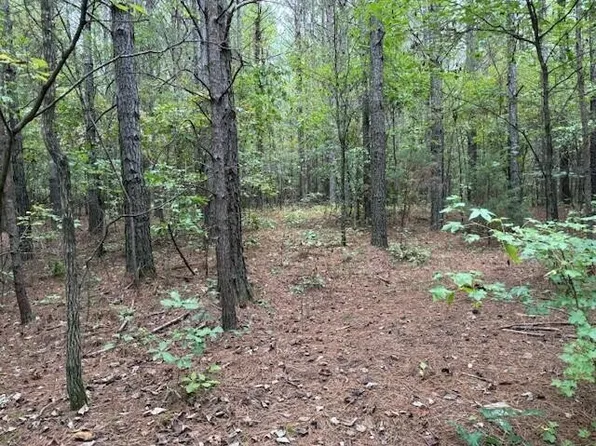 6 Fagin Rd Lot 6, Madisonville, TN 37354