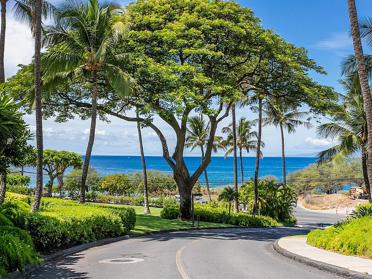 S Kihei Rd — Photo 43