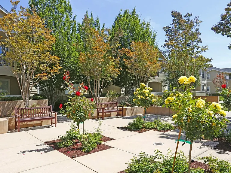 Forge Homestead Apartments — Photo 10
