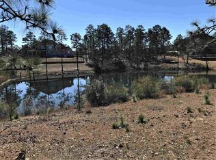 124 Beaver Ridge Dr, Elgin, SC 29045