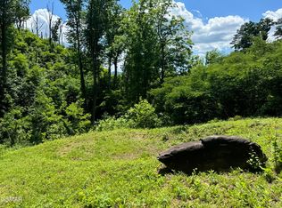 1113 Hemlock Hollow Rd, Gatlinburg, TN 37738