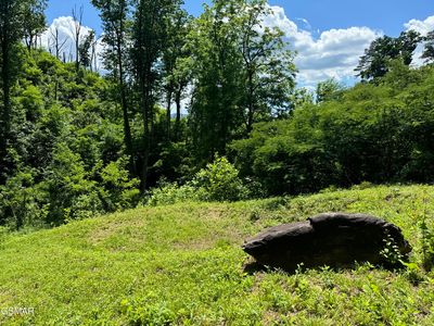 1113 Hemlock Hollow Rd, Gatlinburg, TN, 37738