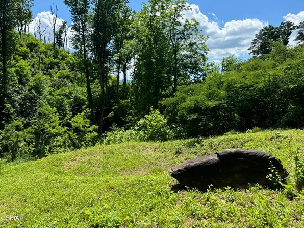 1113 Hemlock Hollow Rd, Gatlinburg, TN 37738