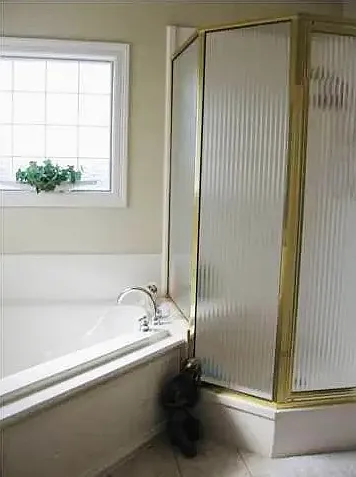107 Olive Vista Dr — Photo 10
