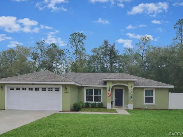 10577 N Biltmore Ter, Citrus Springs, FL 34434