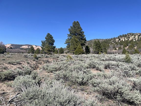 4th image of 257 N Gobbler Loop