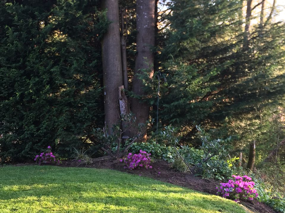 2nd image of 14909 104th Ave NE