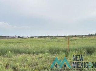 301 E Tumbleweed Rd, Dexter, NM 88230