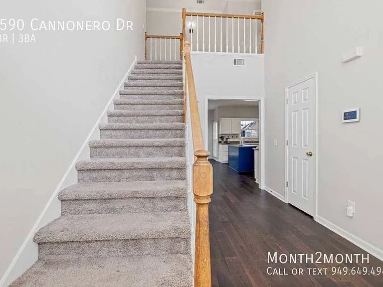 5590 Cannonero Dr — Photo 33