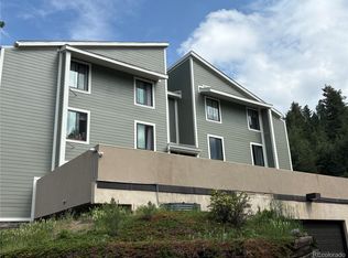 31270 John Wallace Rd APT 306, Evergreen, CO 80439