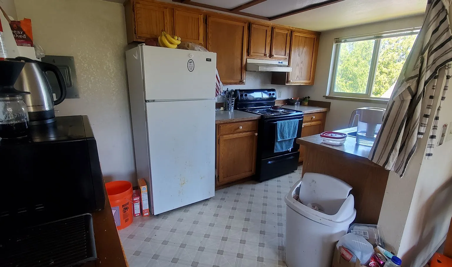 1, 2 & 3 Bedroom Apartments Near WWU + Downtown — Photo 2