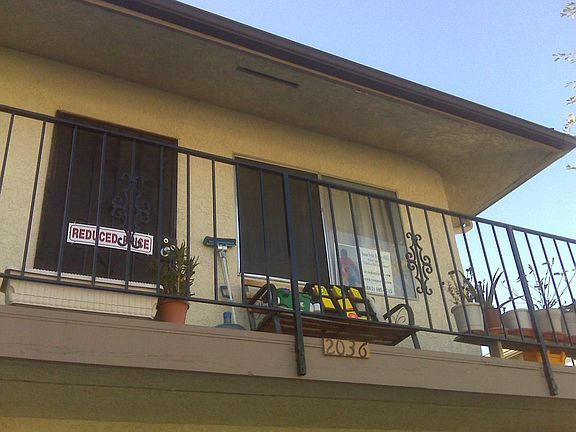 Long Narrow Patio.
