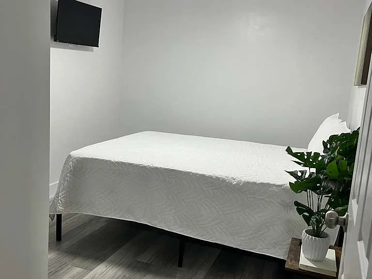 Bamboo Cir — Photo 4