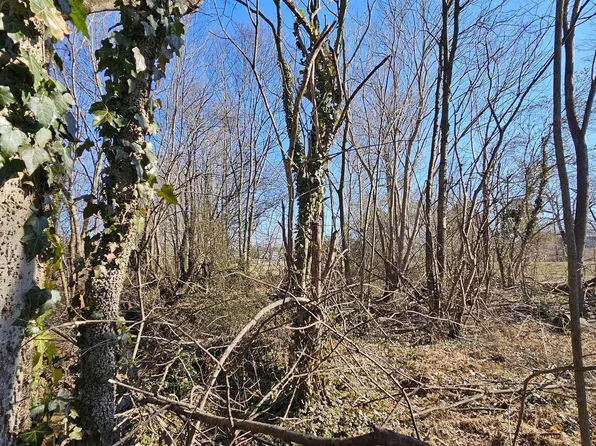 1 / Acre Alabama Hwy #227, Geraldine, AL 35974