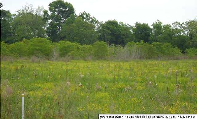 2nd image of LOT 8 Bayou Paul Ln