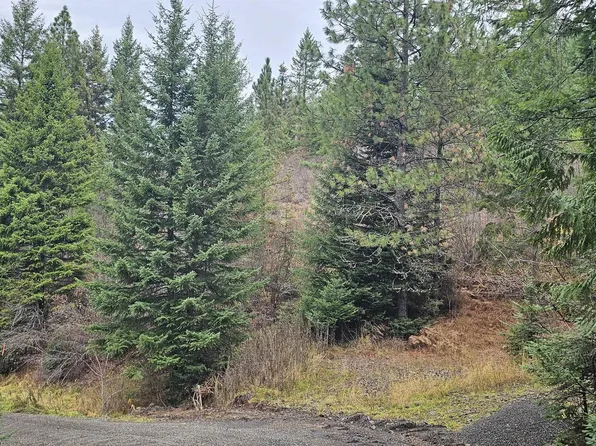 Shenandoah Dr #3, Kamiah, ID 83536