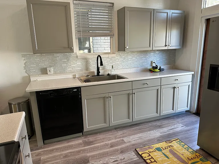 Kitchen sink counter with dishwasher